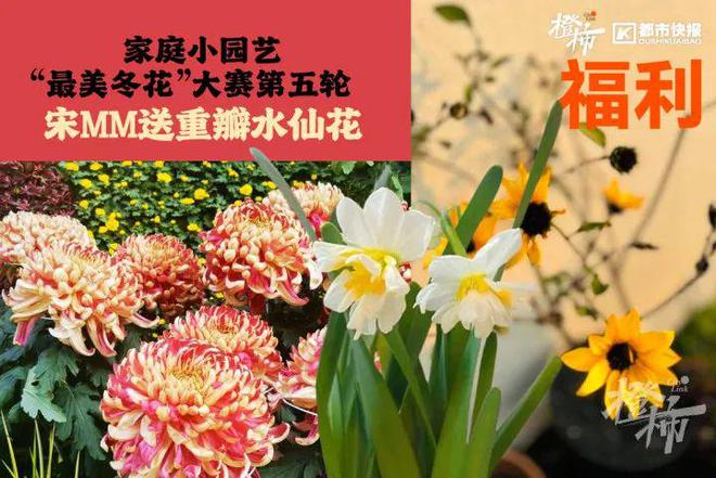 帽、霸王茶姬动物手机支架……橙柿超多福利送送送九游会j9入口登录新版时髦人都有的巴拉克拉法(图2)