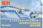 帽、霸王茶姬动物手机支架……橙柿超多福利